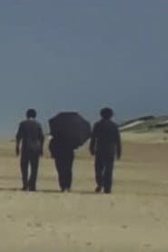 Les fenêtres sont ouvertes