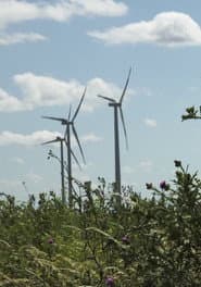 Windpark: Ein Lichtspiel bei Nacht