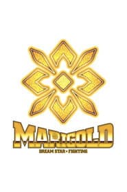 Dream Star★Fighting Marigold