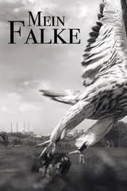 My Falcon