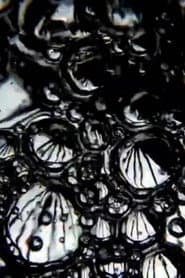 Dark