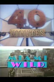 Miami Wild