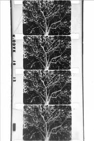 un arbre