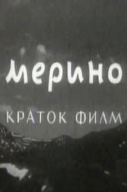 Merino