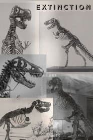 Extinction
