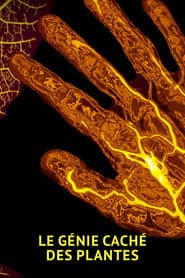 The amazing abilities of plants