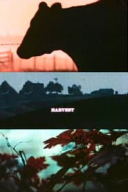 Harvest