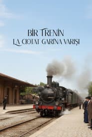 The Arrival of a Train at La Ciotat