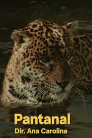 Pantanal