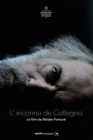 L’ inconnu de Collegno