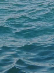Water Diary