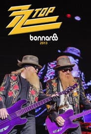ZZ Top: Live at Bonnaroo 2013
