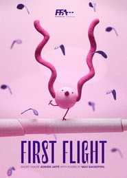 First Flight