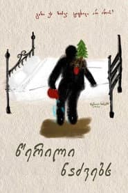 A Letter to Fir Trees