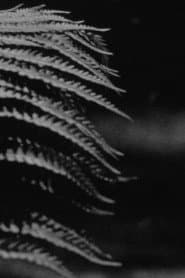 emergence