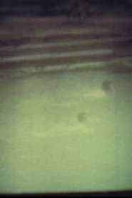 In The River