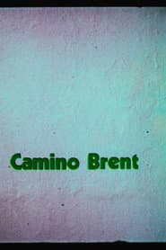 Enrique Camino Brent