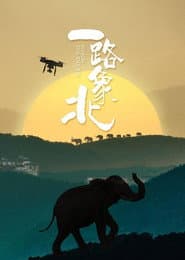 一路“象”北