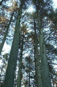 Keeping the Pinelands
