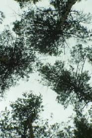 Nature_Nature