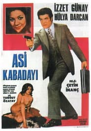 Asi Kabadayı
