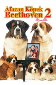 Beethoven's 2nd