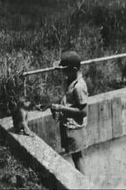 Humit's Zoo