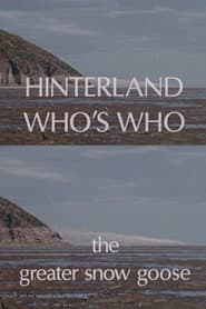 Hinterland Who's Who: The Greater Snow Goose