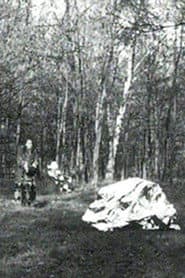 Die Schutzfolie