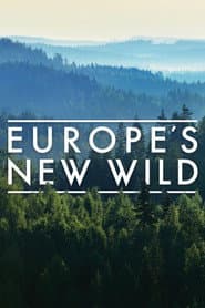Europe's New Wild