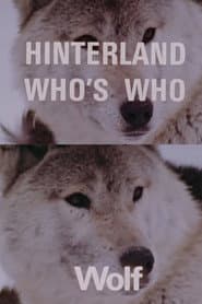 Hinterland Who's Who: Wolf