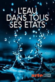 Wasser