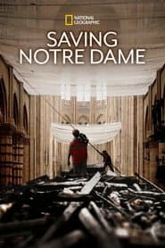 Saving Notre Dame