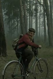On the Swamps
