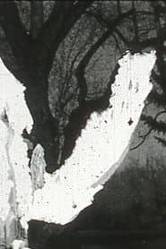 Black Vision