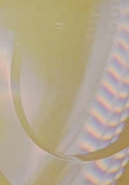 Signify