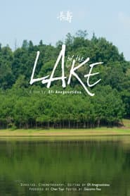 By the lake