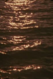 Umbra Viventis Lucis
