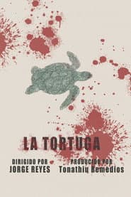 The Turtle