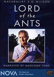 Lord of the Ants