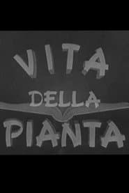 Vita della pianta