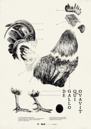 De Gallo Qui Ovavit