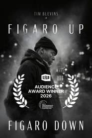 Figaro Up, Figaro Down