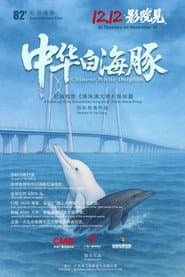 中华白海豚