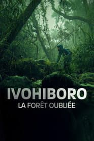 Ivohiboro, The Lost Forest