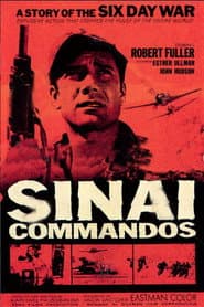 Kommando Sinai