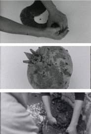 arrojalatierra