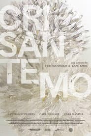 Crisantemo