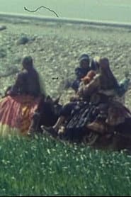 Qashqai Kilim