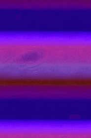 Microscope